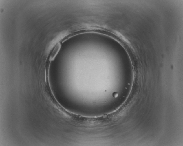 X0000063461269200601201237