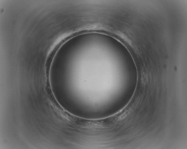 X0000063461270200601201237