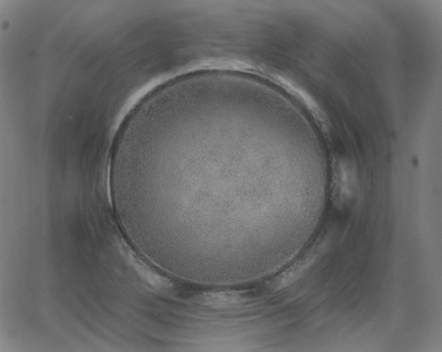 X0000063461272200601201237