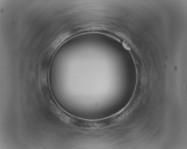 X0000063461273200601201236