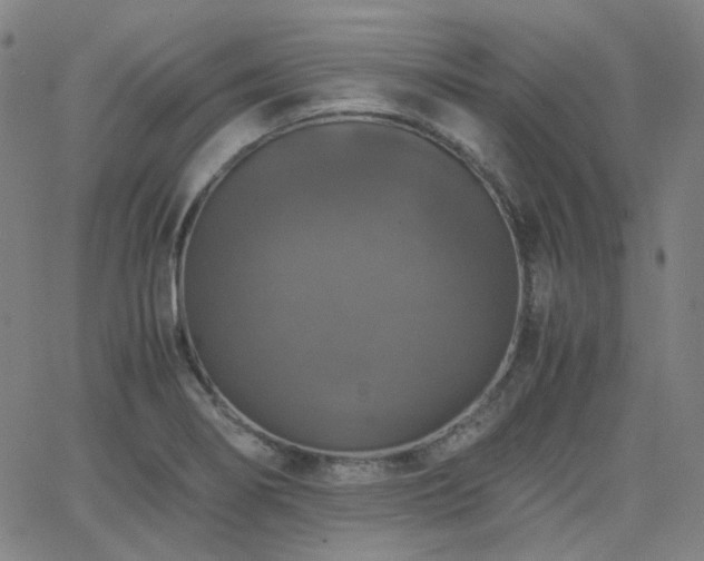 X0000063461274200601201236