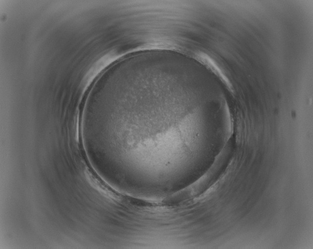 X0000063461276200601201236