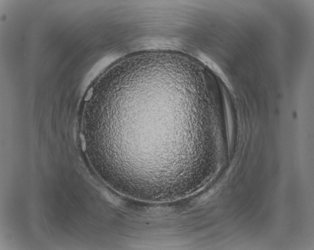 X0000063461277200601201236