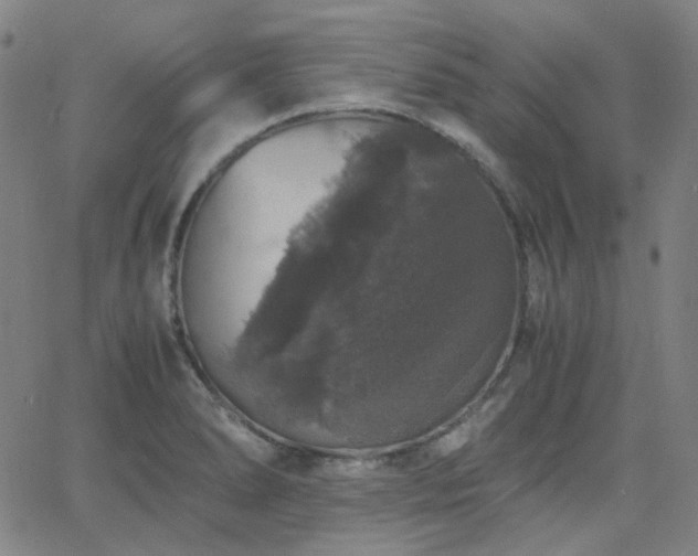 X0000063461278200601201236