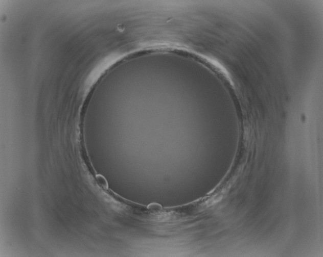 X0000063461279200601201236