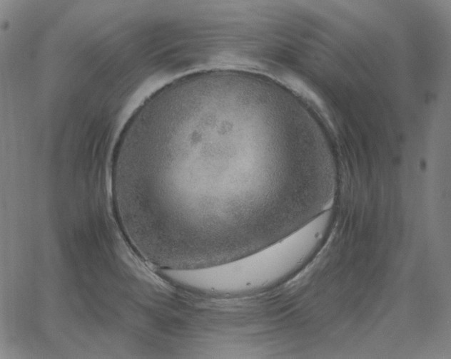 X0000063461280200601201236