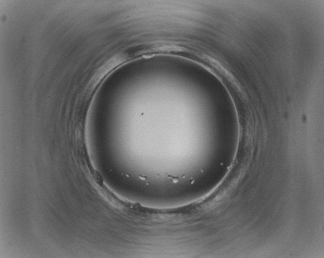 X0000063461281200601201236