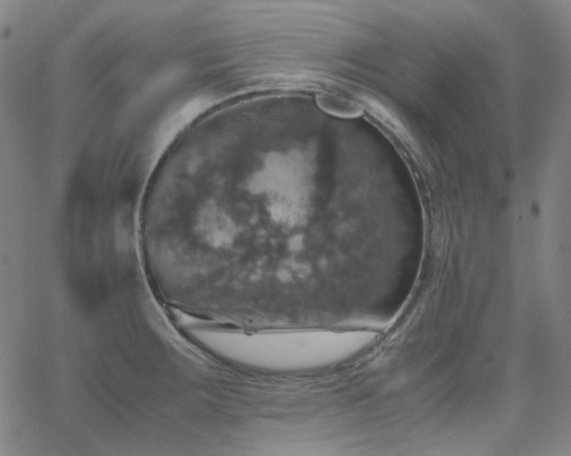 X0000063461283200601201236