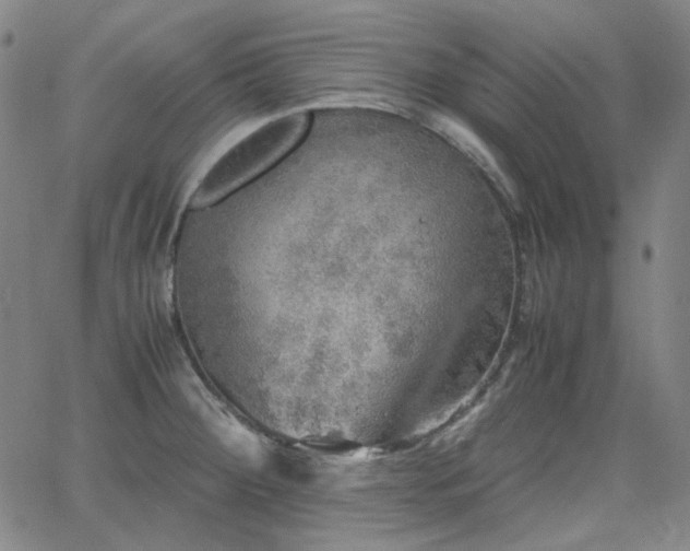 X0000063461284200601201236