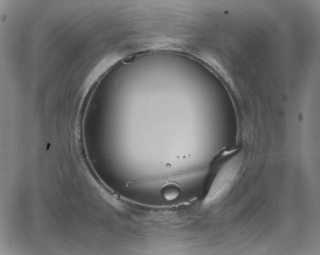 X0000063461285200601201236