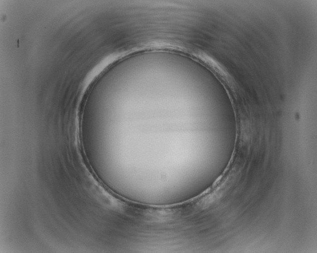 X0000063461286200601201236