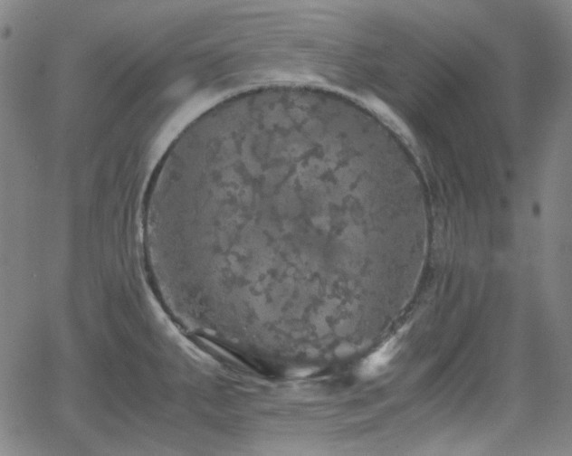 X0000063461287200601201236