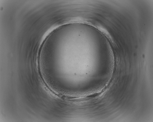 X0000063461288200601201236