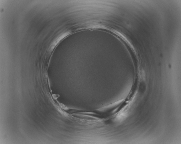 X0000063461289200601201236