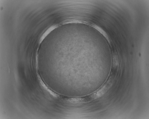 X0000063461290200601201236