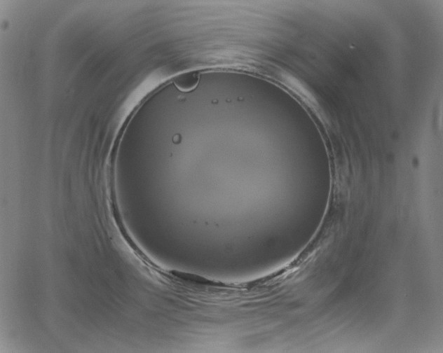 X0000063461291200601201236