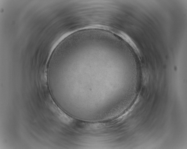 X0000063461292200601201236