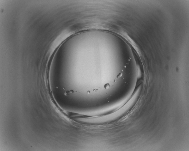 X0000063461293200601201236