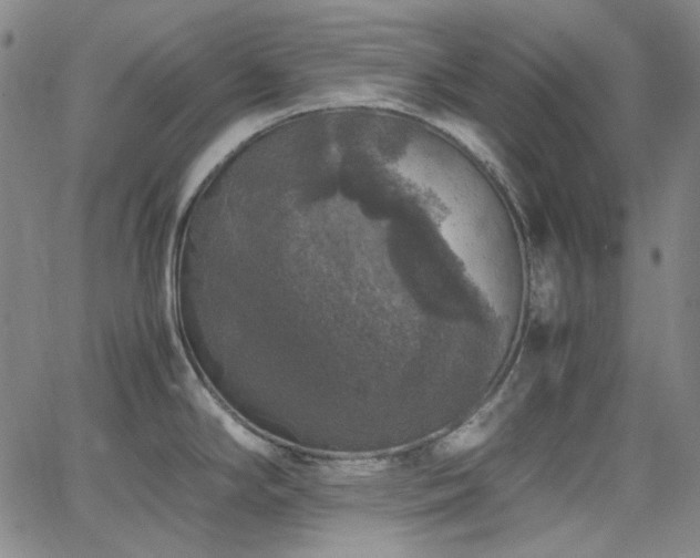 X0000063461294200601201236