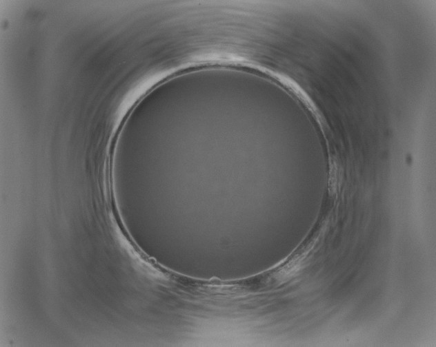 X0000063461295200601201236