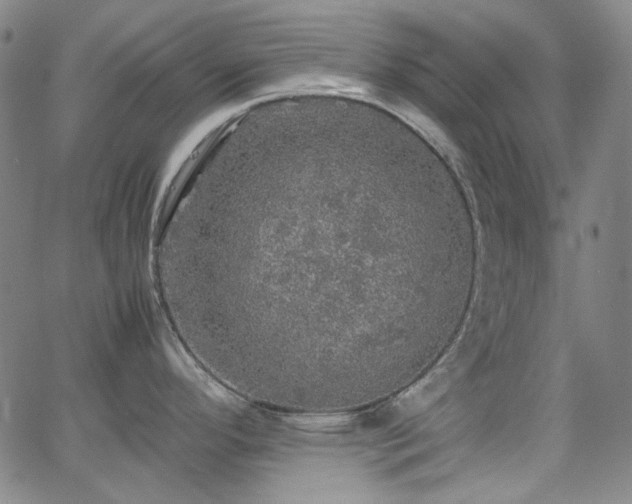 X0000063461296200601201236