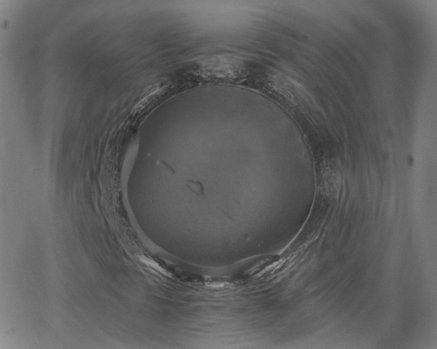 X0000063461297200601201235