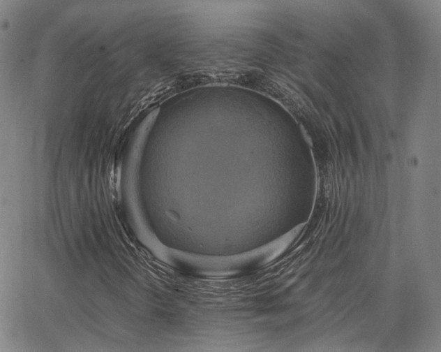 X0000063461298200601201235