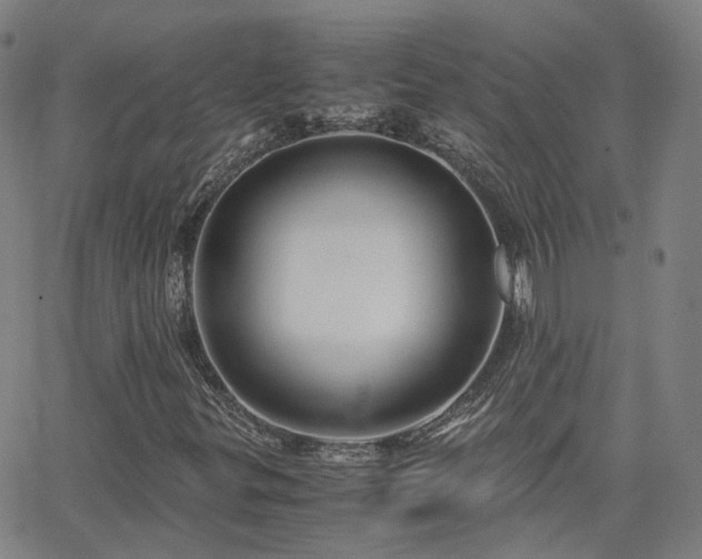 X0000063461299200601201235