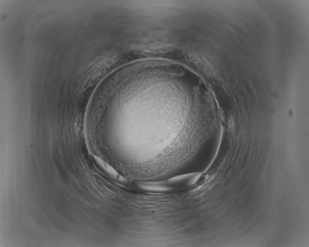 X0000063461300200601201235