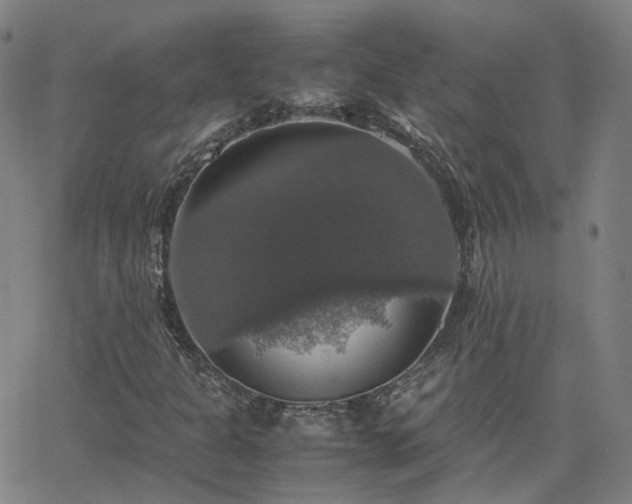 X0000063461301200601201235