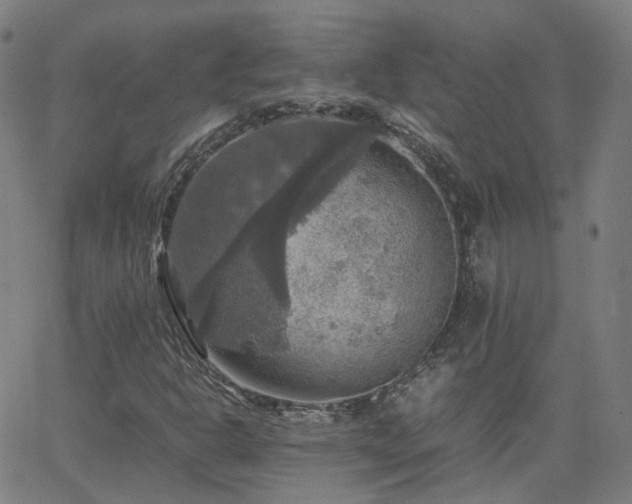 X0000063461302200601201235