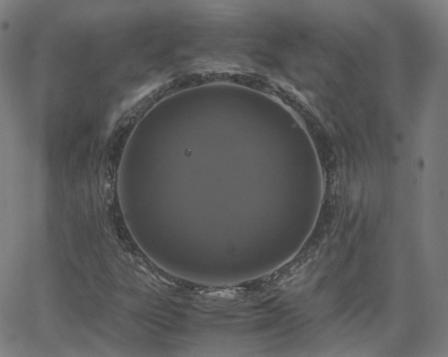 X0000063461303200601201235