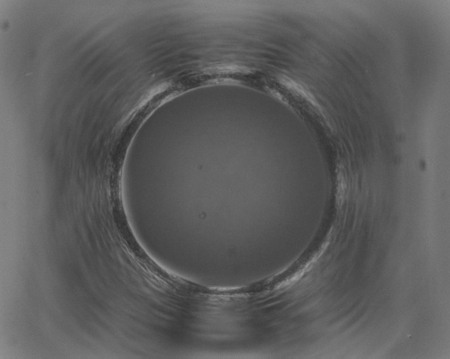 X0000063461305200601201235