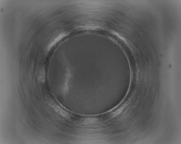 X0000063461306200601201235