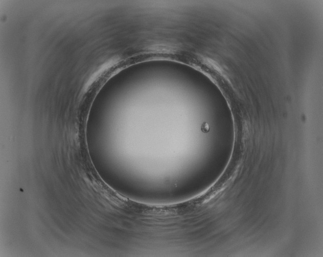 X0000063461307200601201235