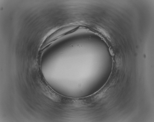 X0000063461308200601201236