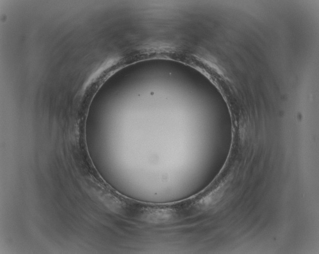 X0000063461309200601201236