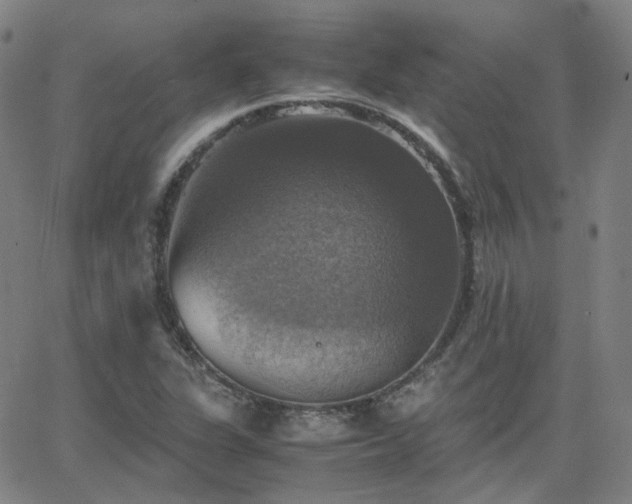 X0000063461311200601201236