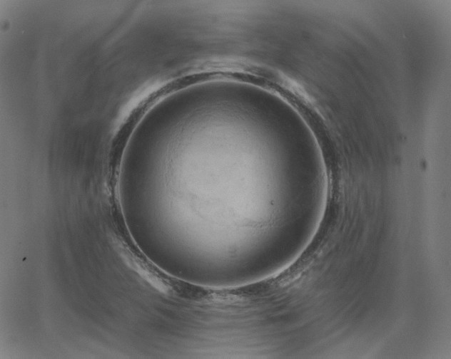 X0000063461312200601201236