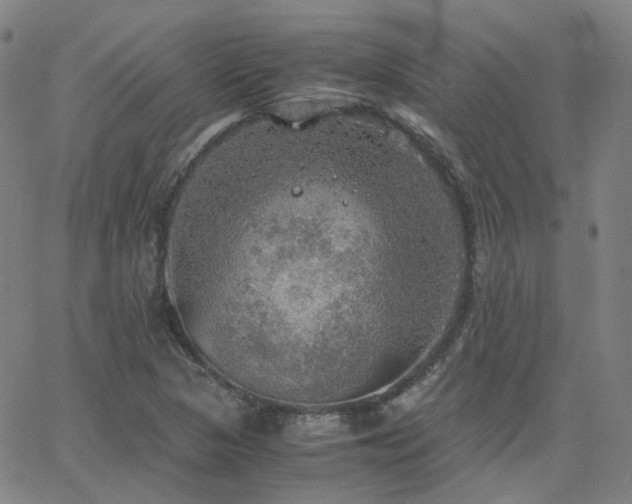 X0000063461313200601201236