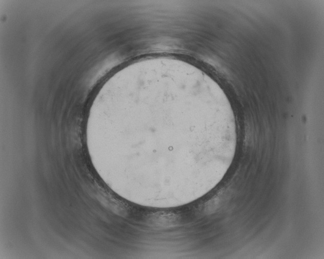 X0000063461314200601201236