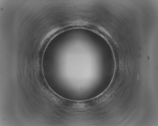 X0000063461315200601201236