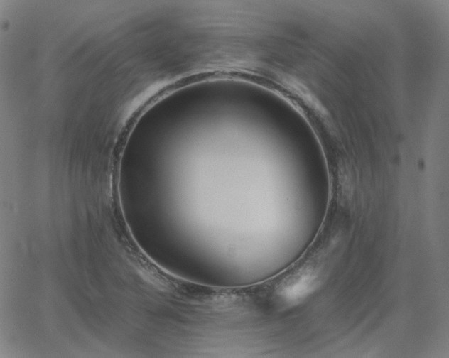 X0000063461316200601201236