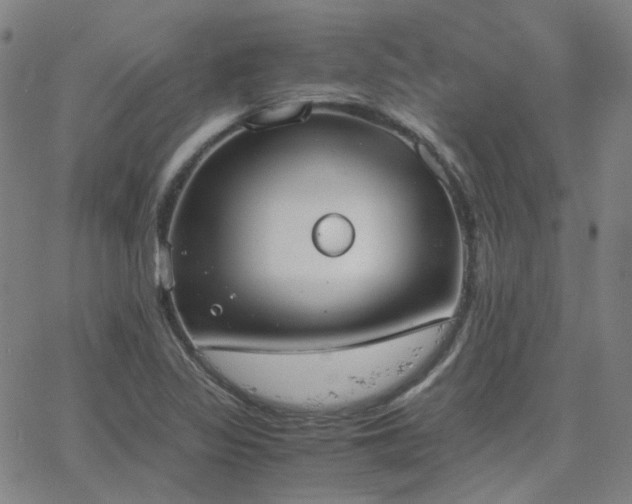 X0000063461317200601201236