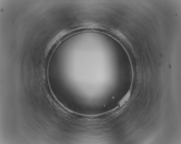 X0000063461318200601201236