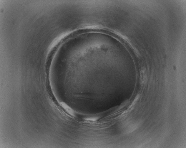 X0000063461319200601201236