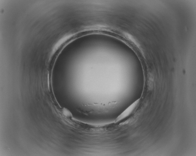 X0000063461320200601201236