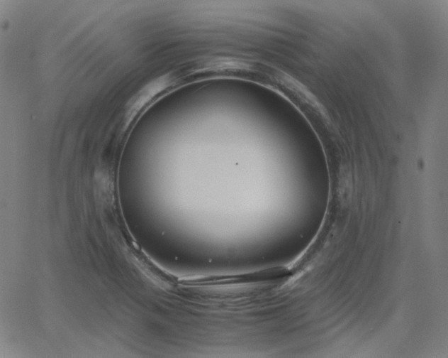 X0000063461321200601201236