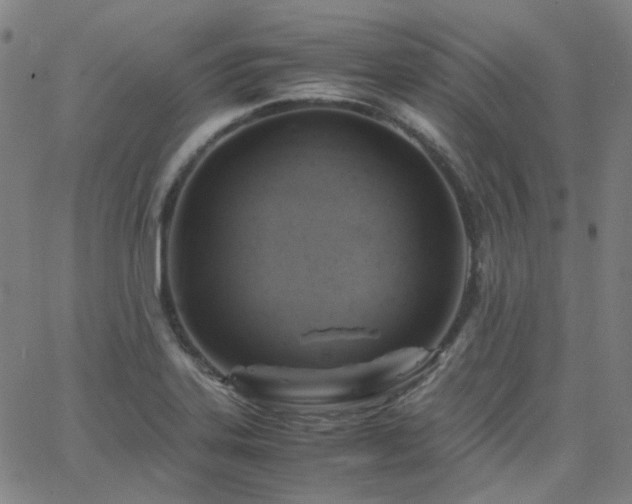 X0000063461323200601201236