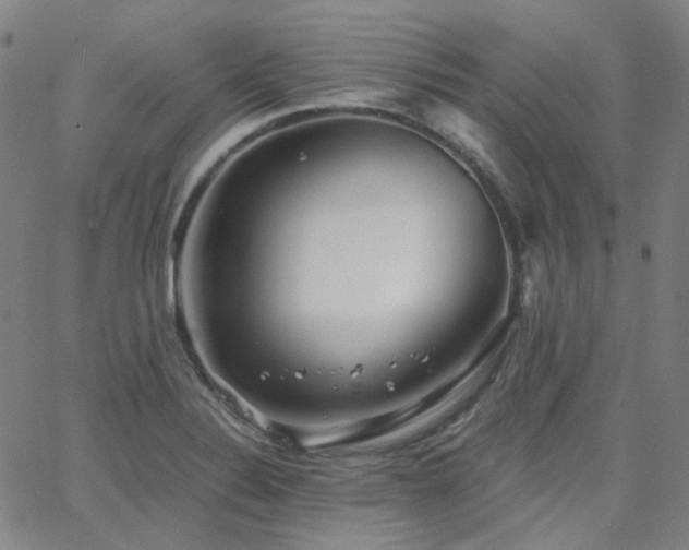 X0000063461324200601201236